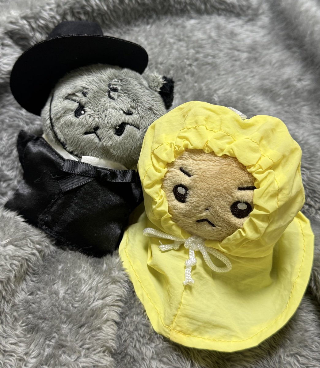 옷 입으니까 진짜 더 귀엽네〰️