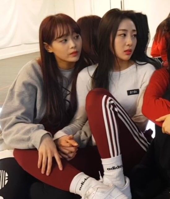 💧kim hyunjin barks jeon heejin aww (@dalsolq) on Twitter photo 