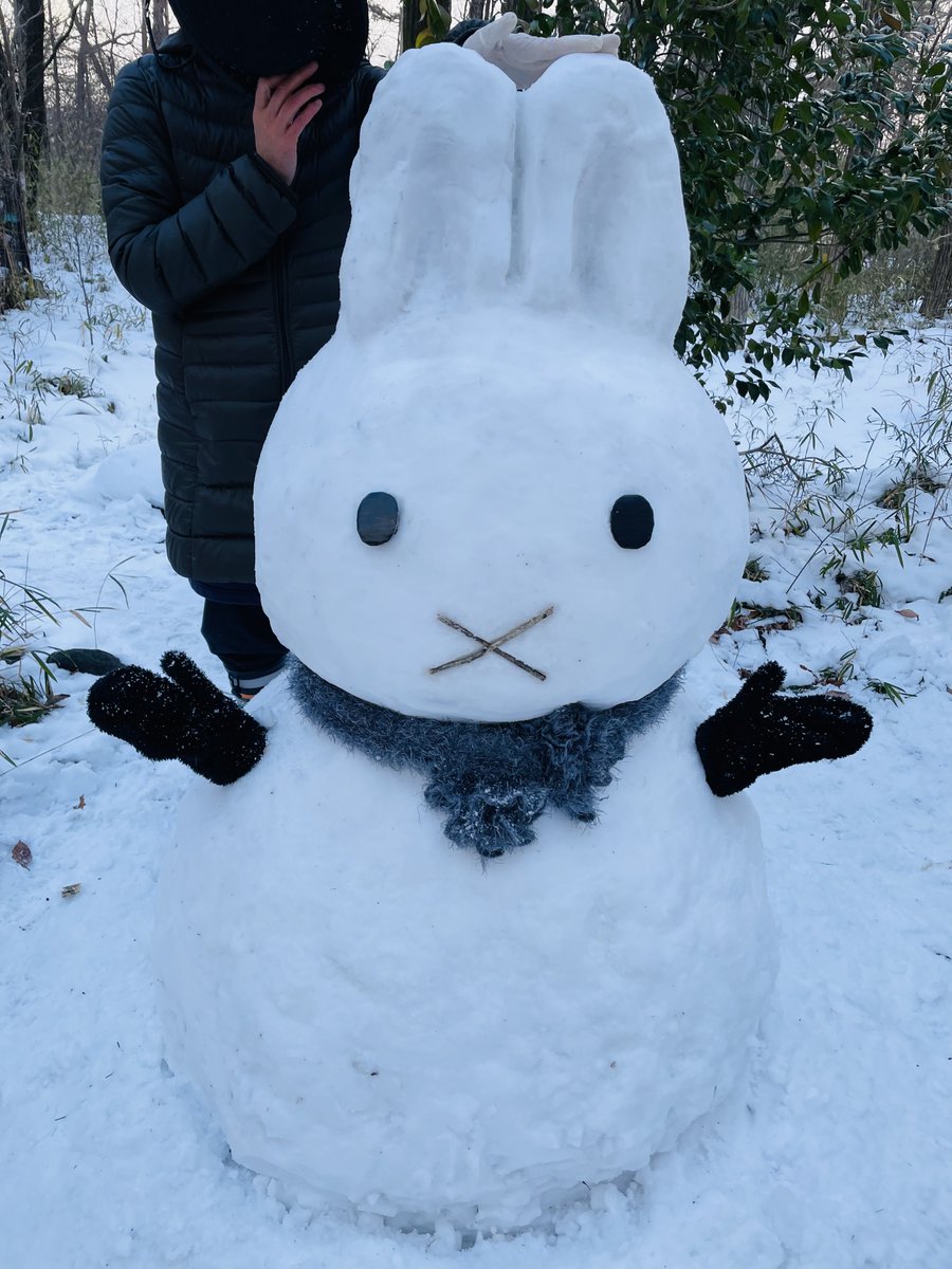 しらとあきこ (@akipcs) / Posts / X