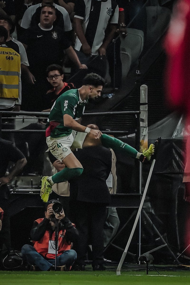 Max Costa 💚🐷 tweet media