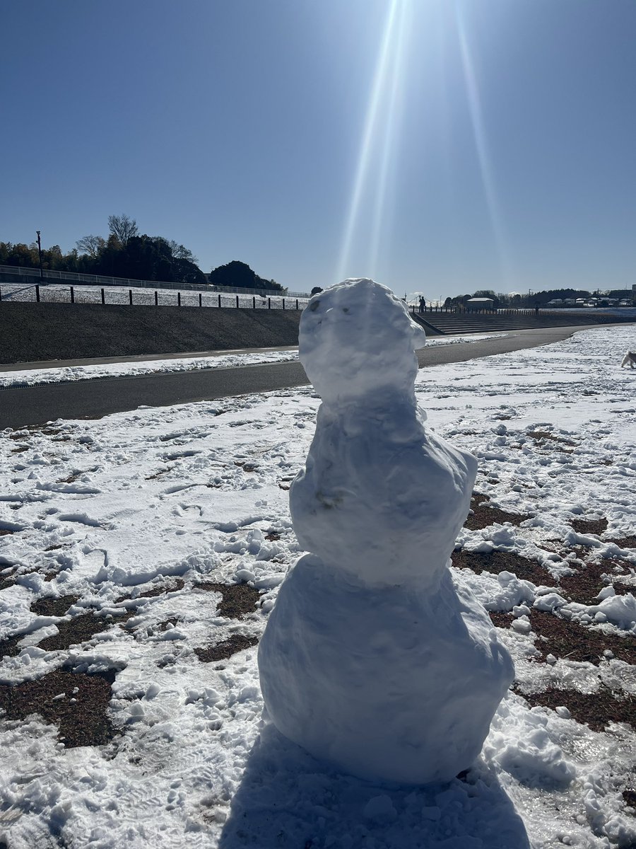 シュールな雪だるまいた