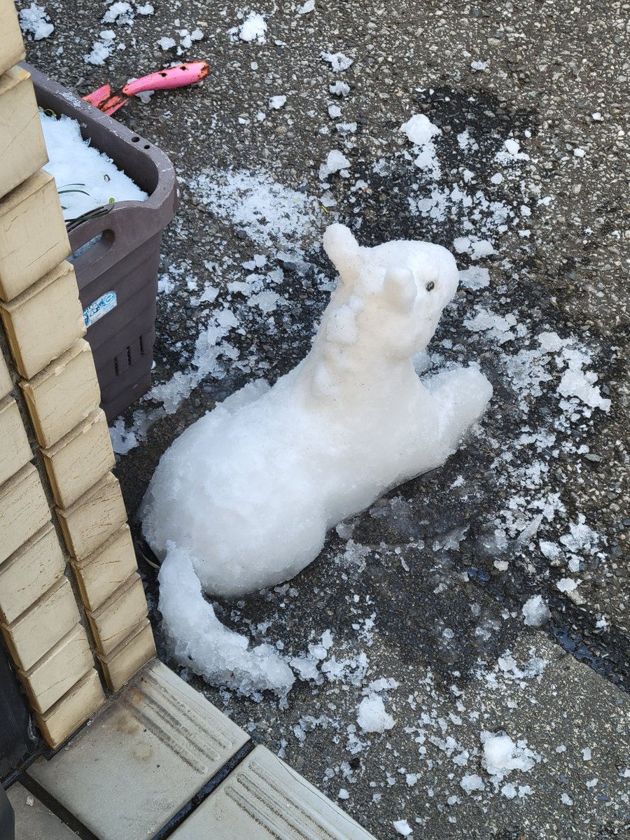 ぺむお🐴 tweet media