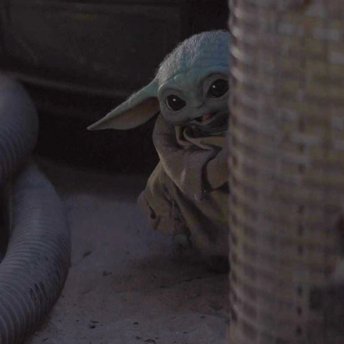 maddie (@madinthemoon) on Twitter photo 