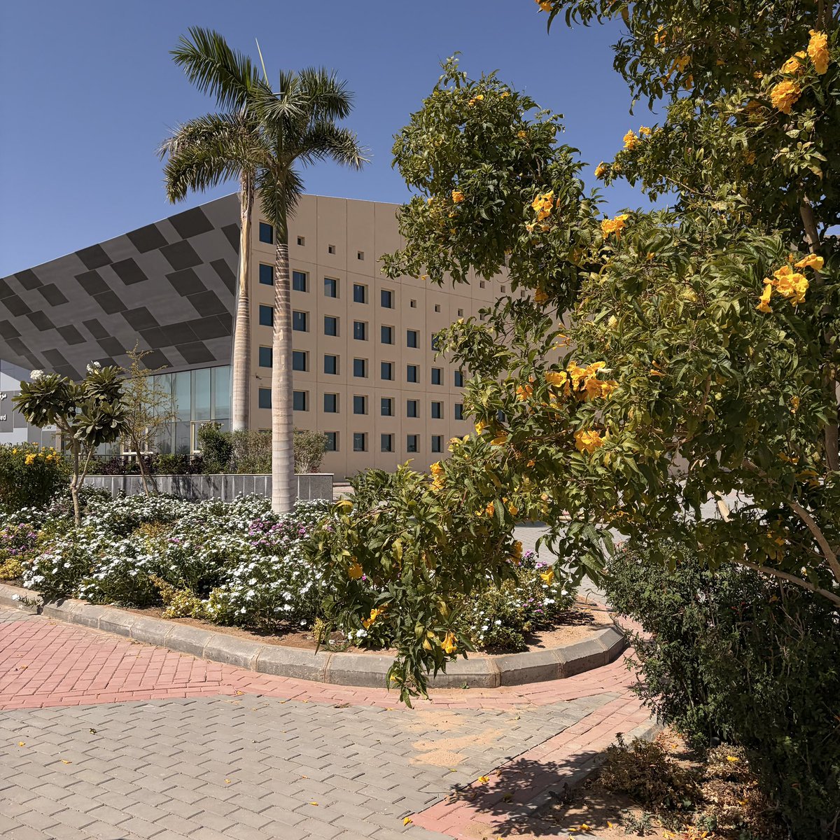 أَسـماء 🪐 tweet media