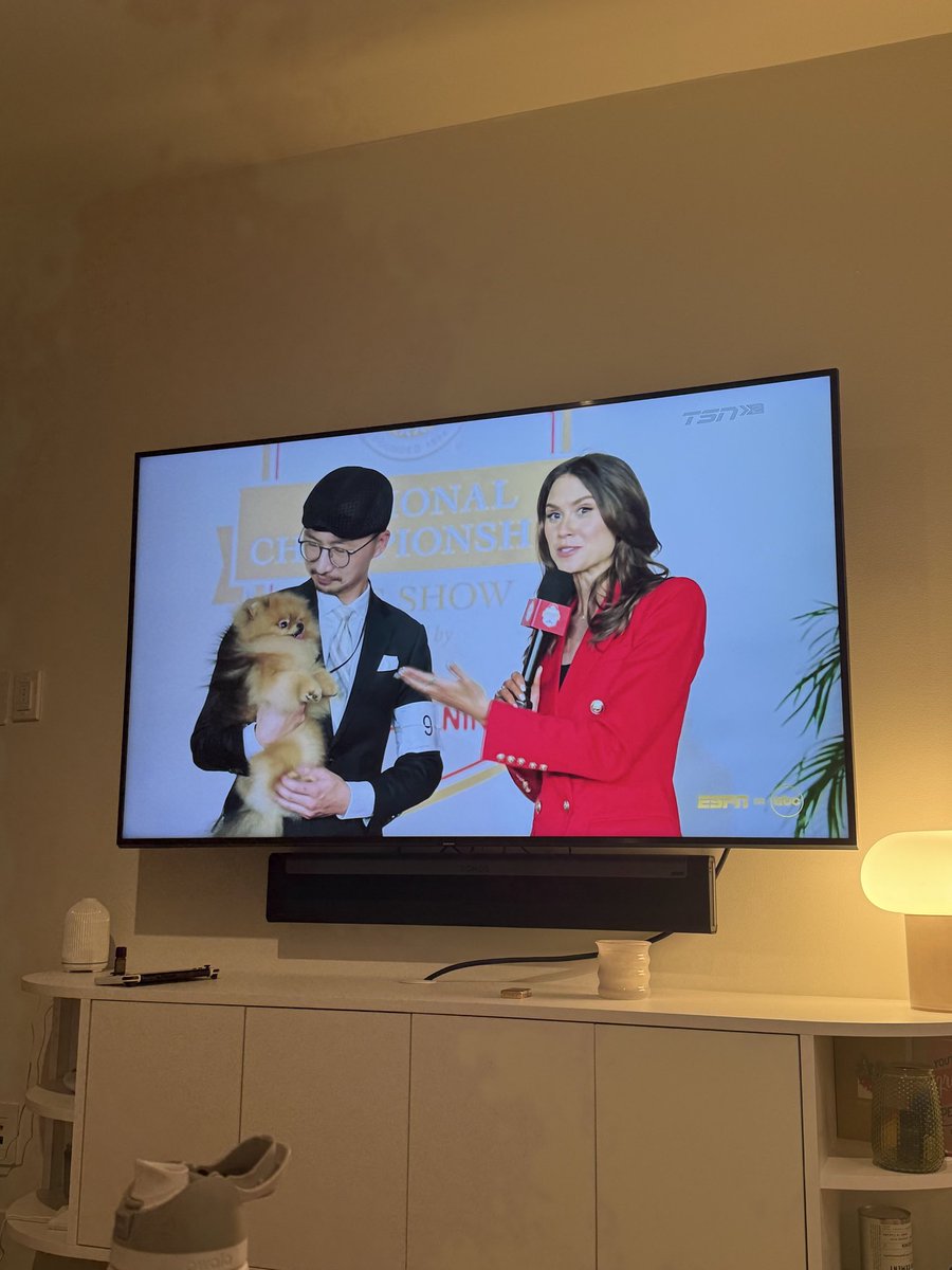 THE NAVIGATOR tweet media