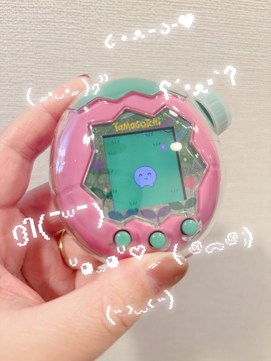 kirasupi's tweet photo. 扶養家族増えた🩷 https://t.co/WiKRGw2vJP