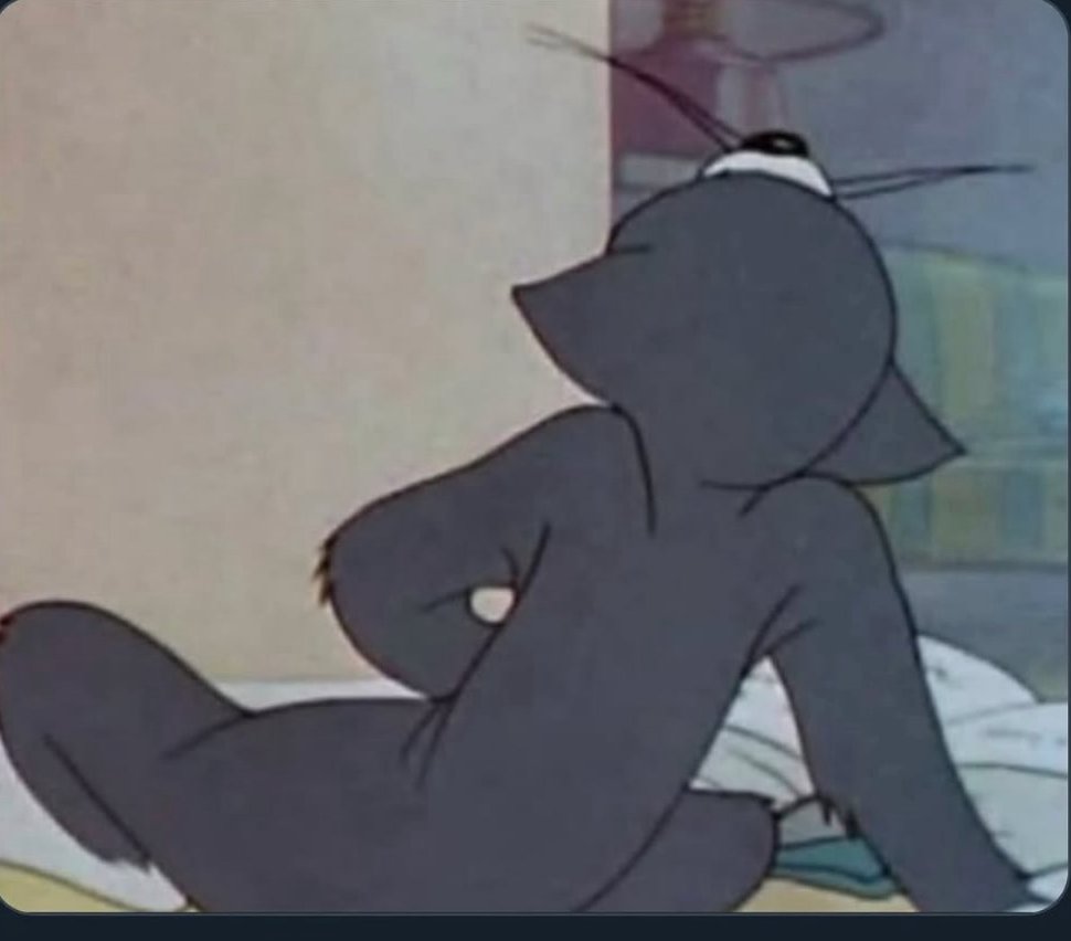 🐈‍⬛ 💭🍔 (@pumathemonster) on Twitter photo 