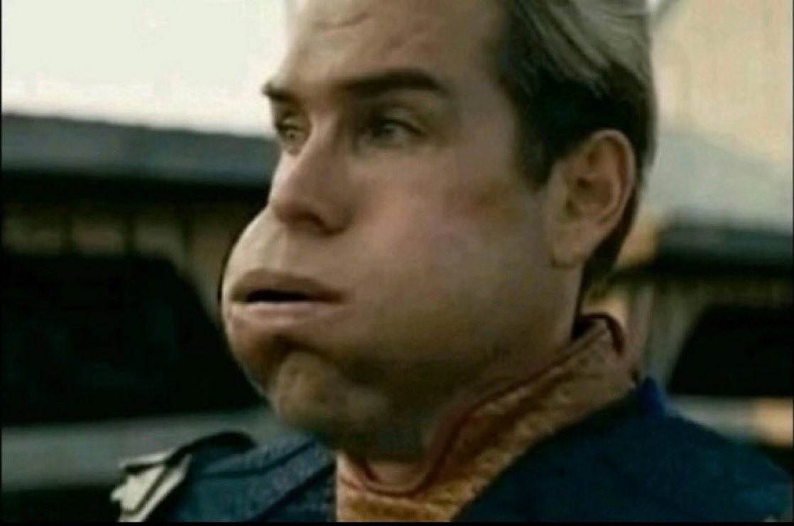 DRAKE MAYE PLEASE DOG