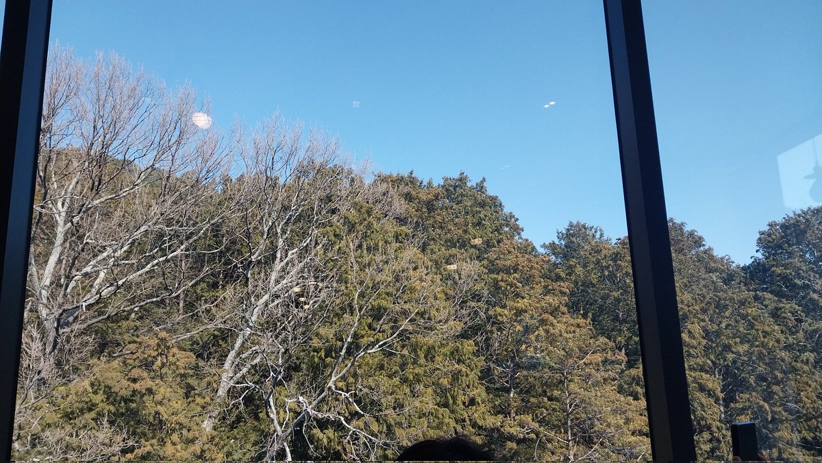 센스있게 풍경좋은 절 소개해주셔서 감솨🙏
하늘도 맑았고 날씨까지 매우 좋았다🤩