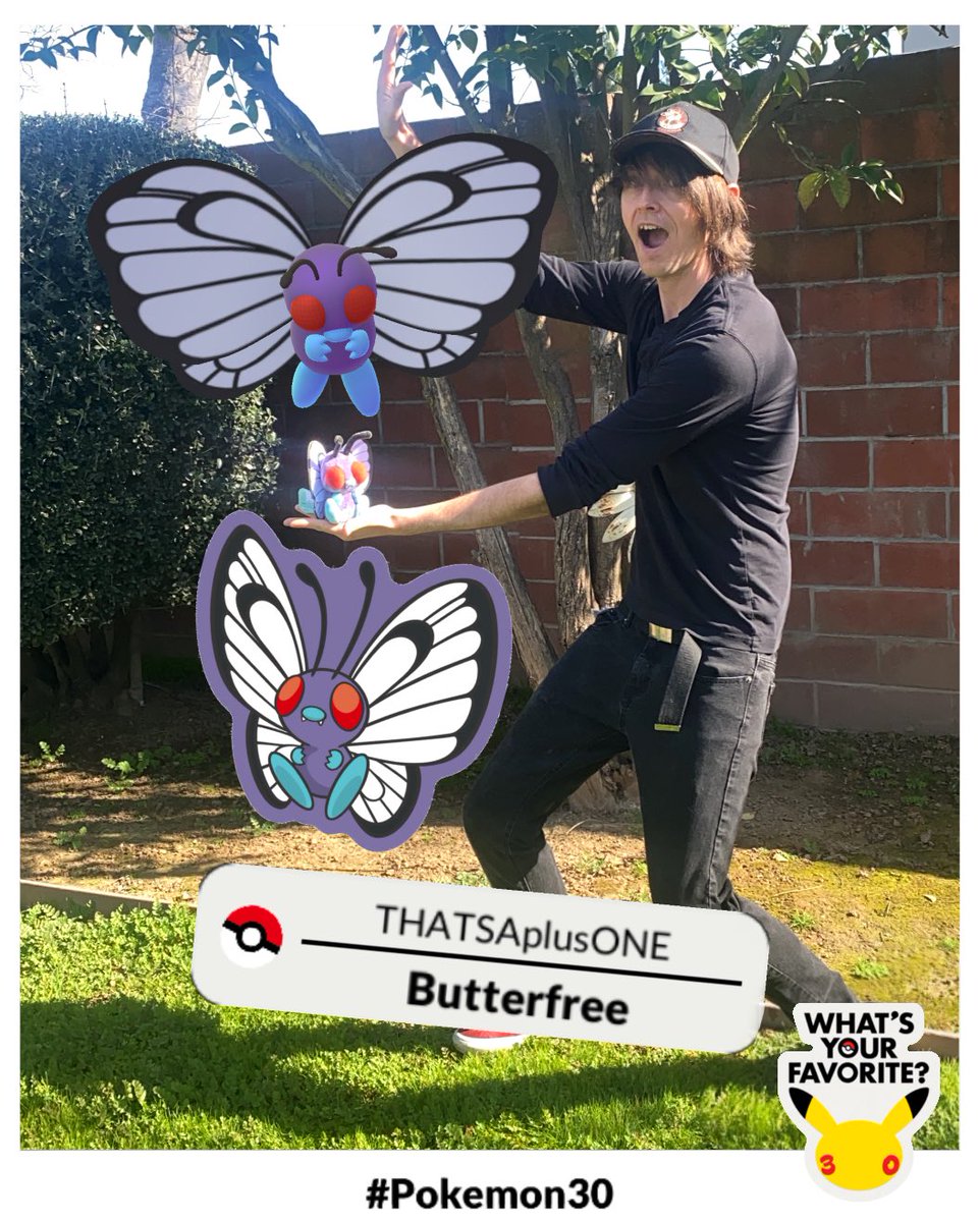 Phillip Wingett tweet media