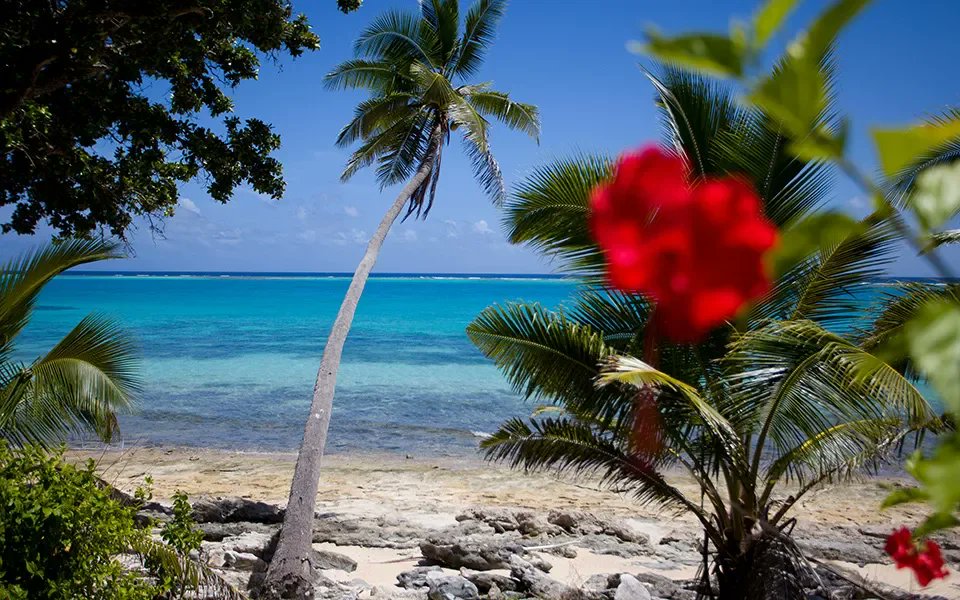 openluxere's tweet photo. FOR SALE: Katafanga Island, Dream Island in the South Pacifi...
$17.0M | Lau Group
Listed by Vladi Private Islands

https://t.co/1Dyy0E2GlF

#Mansion #LuxuryItaly https://t.co/HdoyH4Ql7R