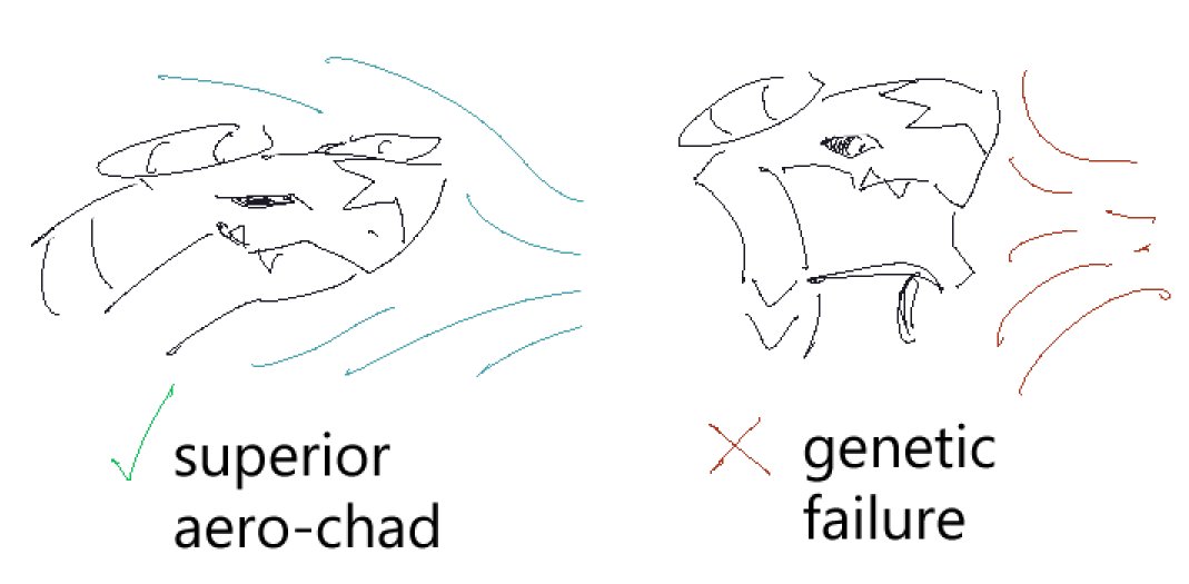 came to me in a vision