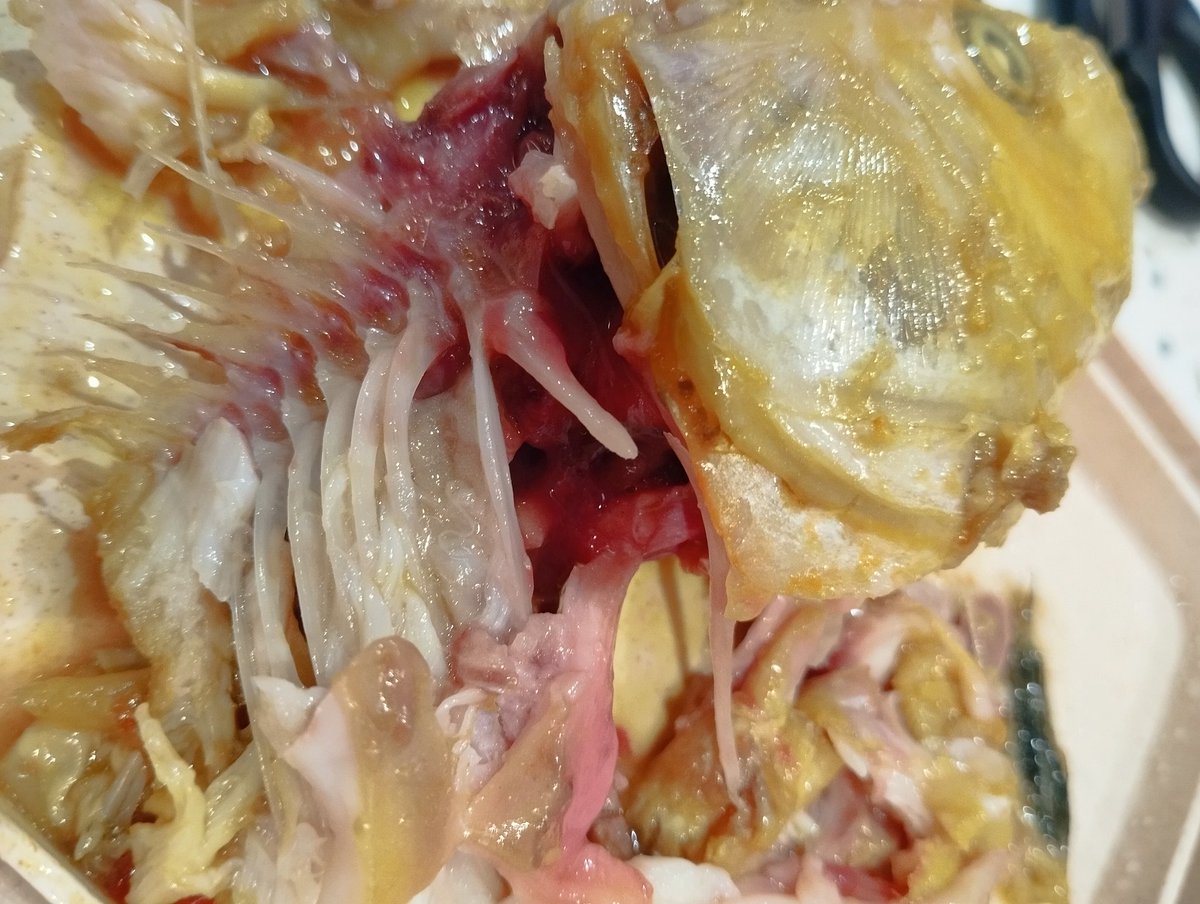 Indo Embun tweet media