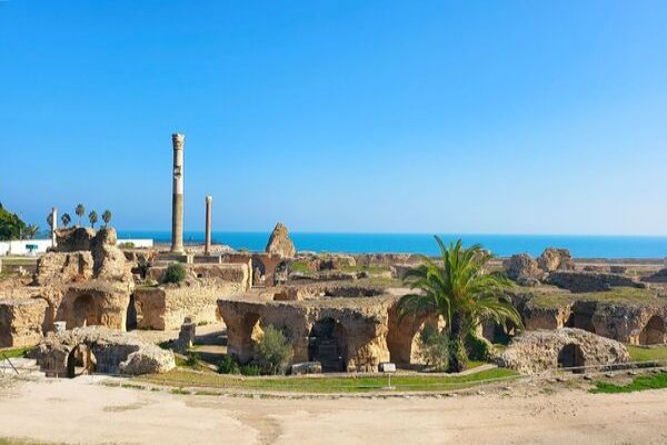 ＼🆕新規ツアー🆕／1Dayチュニス周遊ツアー

地中海とアラブの町並みが融合した青と白の街シディブサイドを巡る、#チュニジア の #チュニス の定番ツアー💁

✅港町ラ・グレットのローカルレストランの昼食付🍽️
✅日本語ガイド、英語ガイドをお選びいただけます👌

➡️activities.his-j.com/TourLeaf/TUN00…