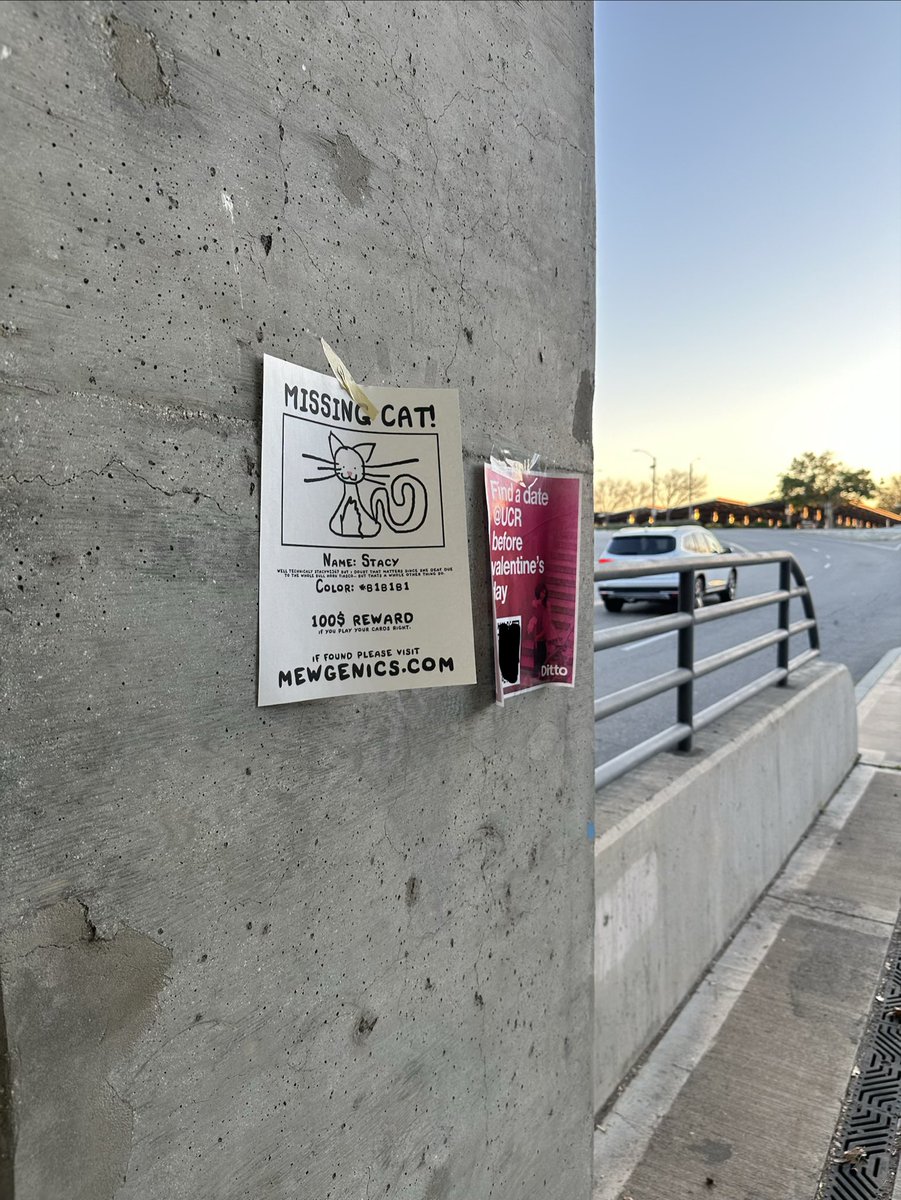 Tcapriking21's tweet photo. @edmundmcmillen I put up posters across my college campus #mewgenics https://t.co/KRS147VXcQ