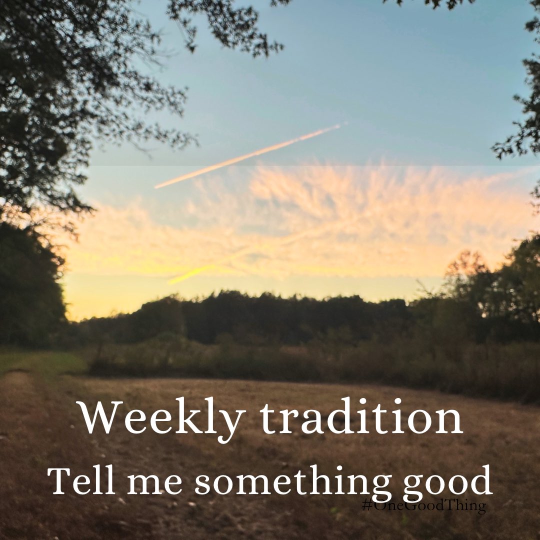 The Hoarse Whisperer tweet media