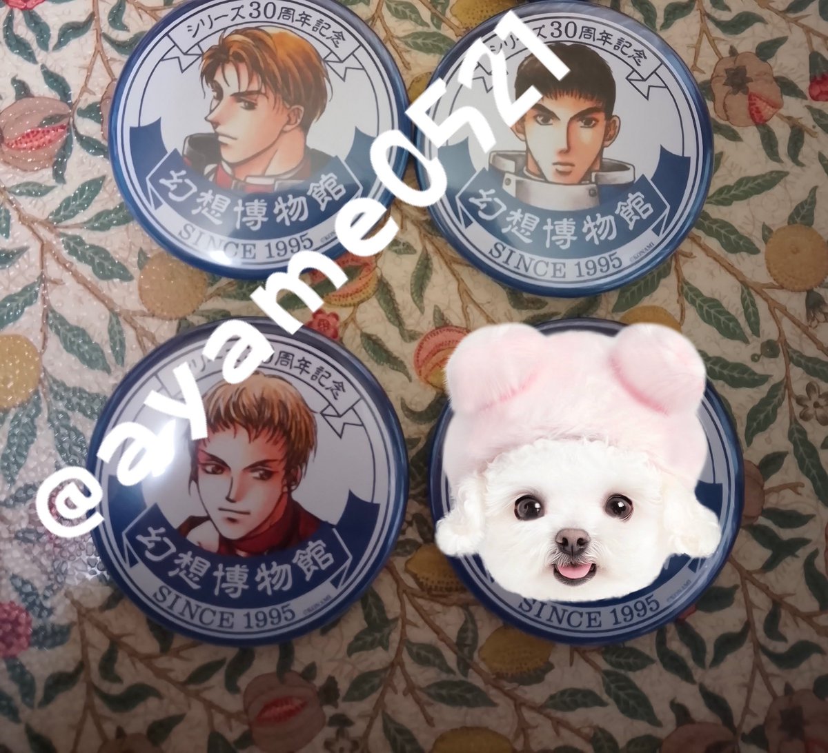 ◎幻想水滸伝◎ 交換or譲渡募集 出) ①幻水展缶バッジ(シーナ