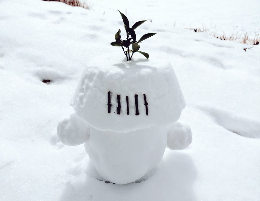 今年も雪左衛門さんが舞い降りました