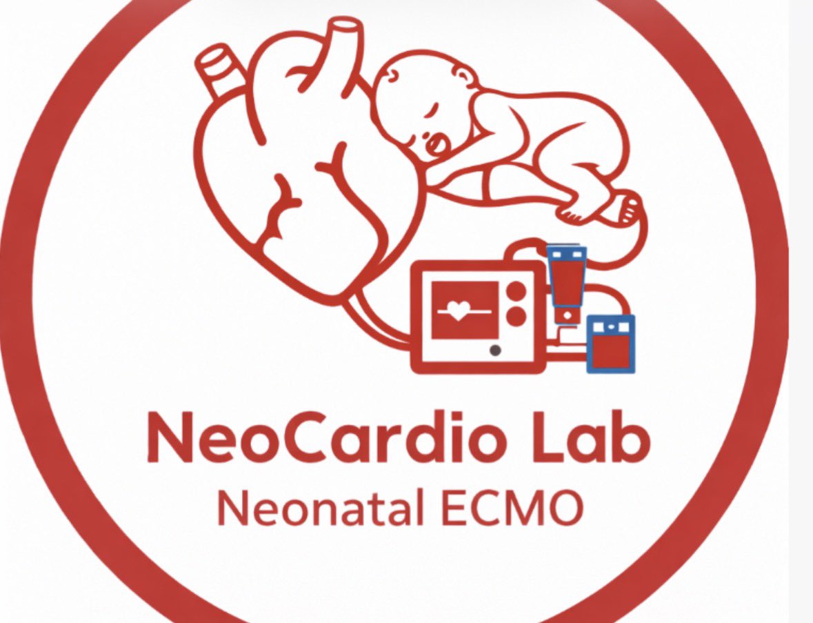 NeoCardioLab - Gabriel Altit tweet media