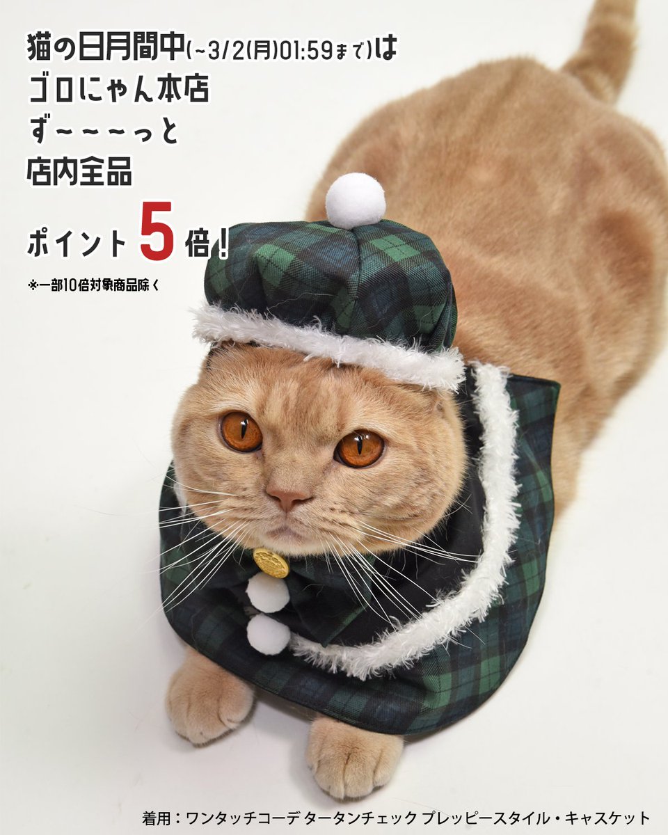 猫用品のゴロにゃん (@56nyan_com) / Posts / X