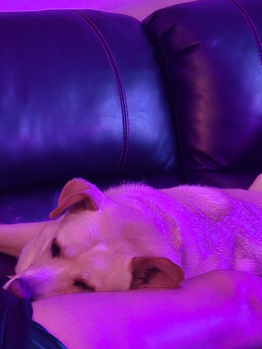 Nikos Tzimourtas tweet media