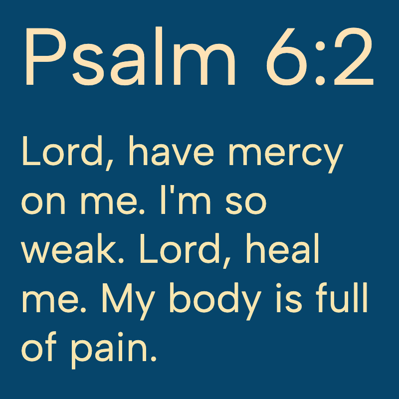 Daily Bible tweet media