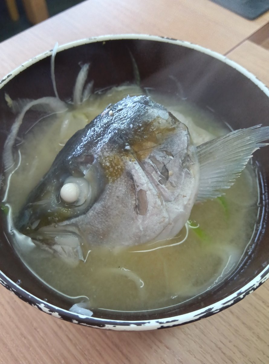 dcVfvj8RQDH8pXC's tweet image. 氷見魚市場食堂で🐟ランチ😋

やわやわ丼
ガンドブリ、さわら、カワハギ、ヒラメ、カレイ、甘海老
これで2000円よ😋👍

そして僕のお薦めすり身揚😋

氷見のごっつぉ頂きました🙏