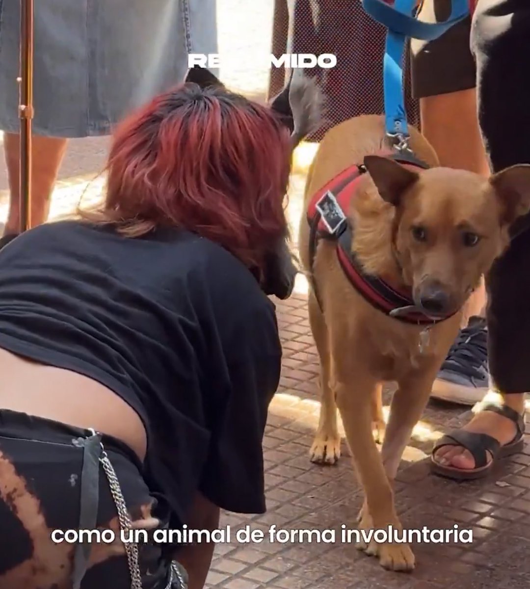 nadia cordobesa໑̣ tweet media
