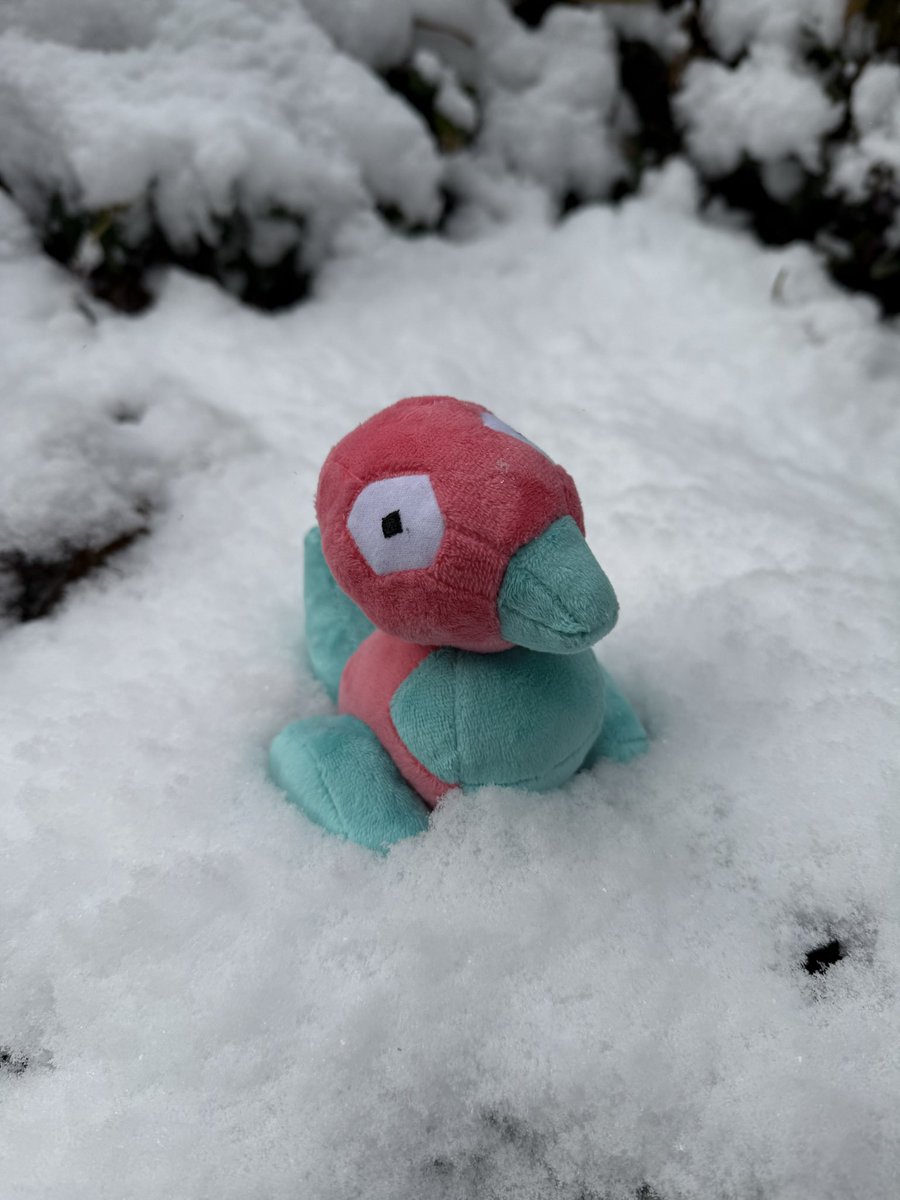 All You Can Eat WOBBUFFET tweet media