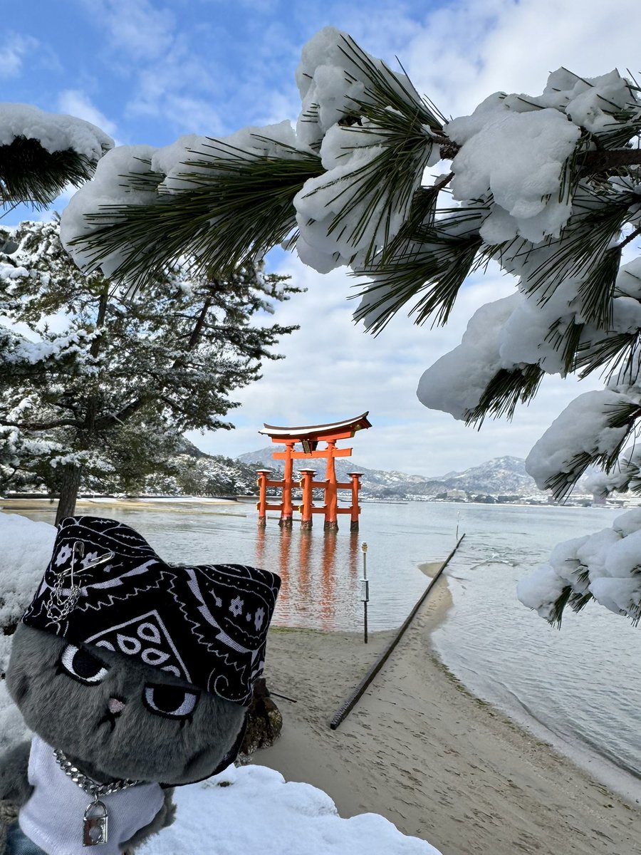 雪❄️の厳島神社⛩️🦌
テップンはTシャツで来ちゃった...！
めちゃ寒いけど、美しい。
昨日は大雪でした🥹