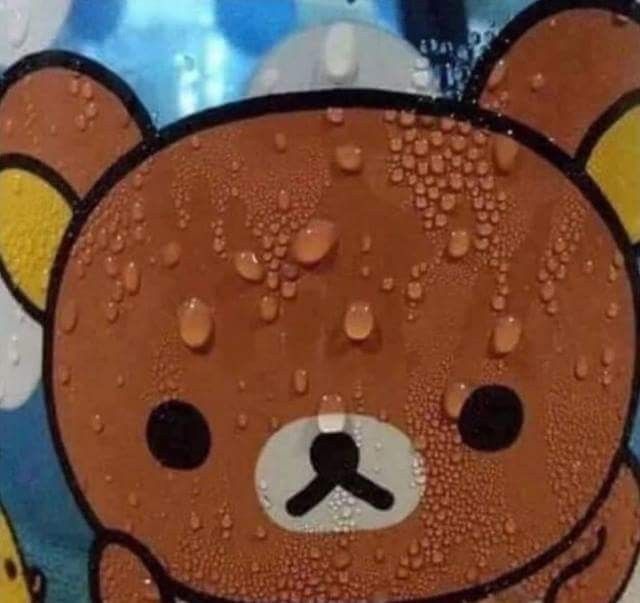 1997Luna7's tweet photo. Me because my payment went through on Weverse but I haven't gotten an email confirmation but they took the money out of my account but I see no order purchase on Weverse 😭 I just want to know if I got my lightstick https://t.co/6QAibd3OHA