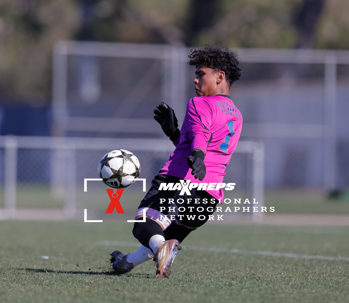 Samuel. M Photography tweet media