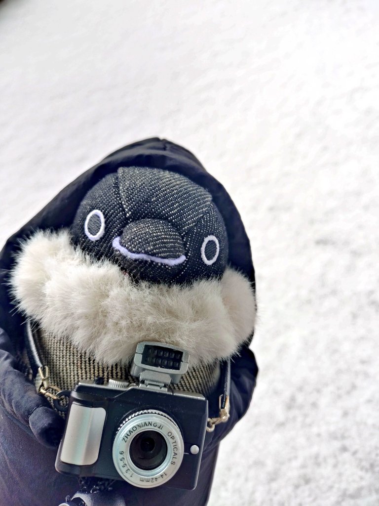 めっちゃ寒い〜😆❄