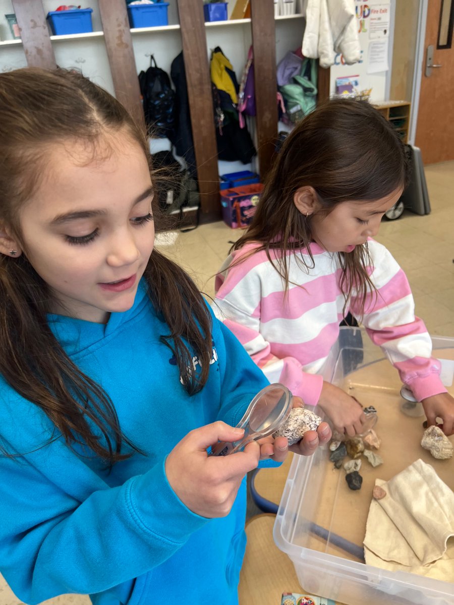 Chappaqua Central School District tweet media