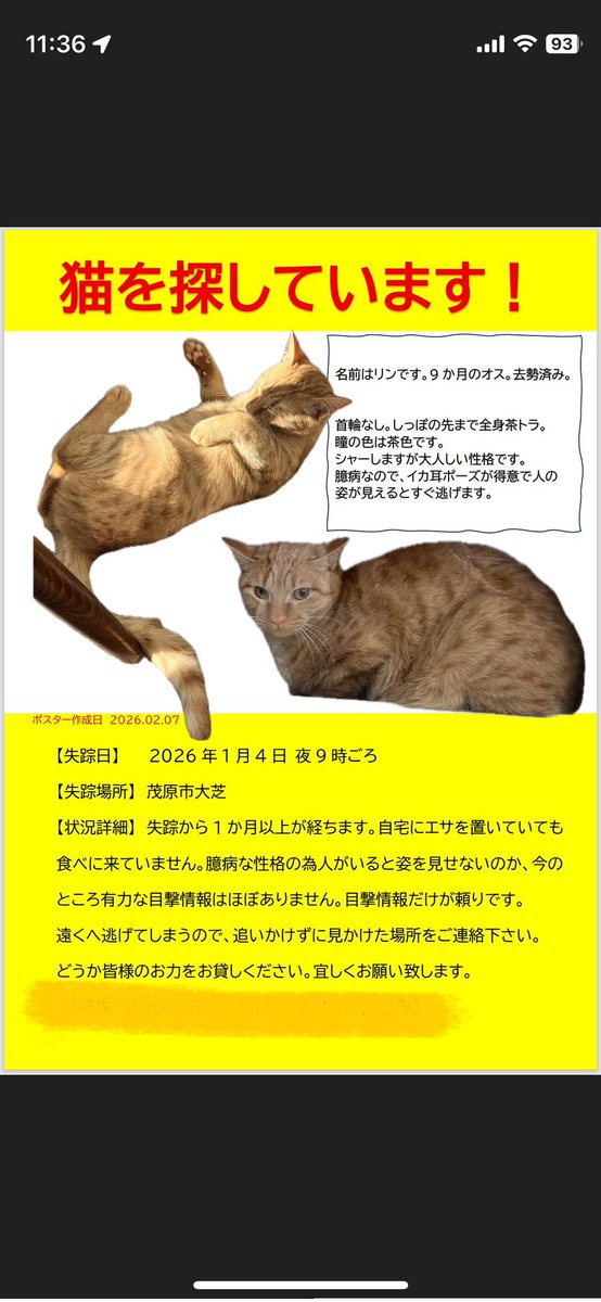 千代にゃあ八千代にゃ (@steve84272869) / Posts / X