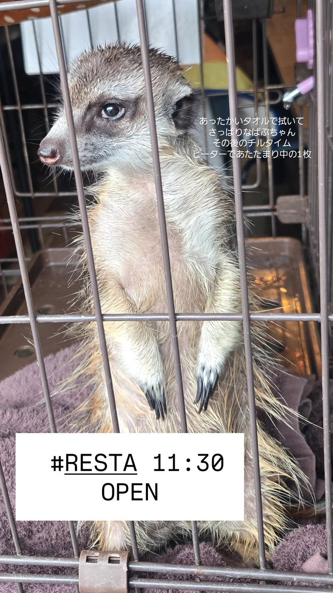 #RESTA 11:30 -  ̗̀ 𝙊𝙋𝙀𝙉 .ᐟ.ᐟ   ̖́-
本日月曜日☕️
冬の寒さが厳しいですが、通常通りオープンしております❄️
あたたかいドリンクと一緒に、ゆっくりお過ごしください。