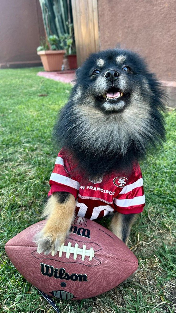 diegolopezguer2's tweet photo. @FOXImpactoNFL 
#foximpactonfl 
Siendo aficionado de los 49ers pero viendo el Super Bowl! https://t.co/1l3Bwrwj0j