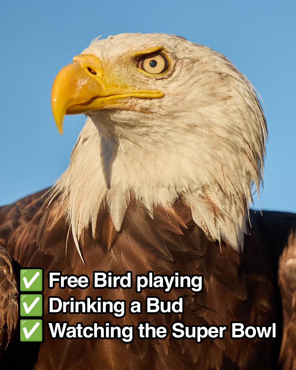 Budweiser tweet media