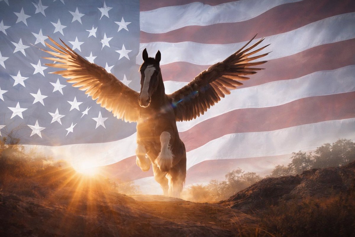 Alpha_entries's tweet photo. @Kalshi $MURICA
 
Hell yea brother

J9DT7rU15CyD7mKbvud56LTZozRLZiDEMMSoX7qdpump https://t.co/3BM3nl5ZM6