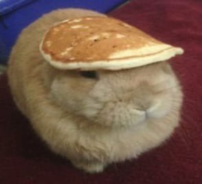 mood