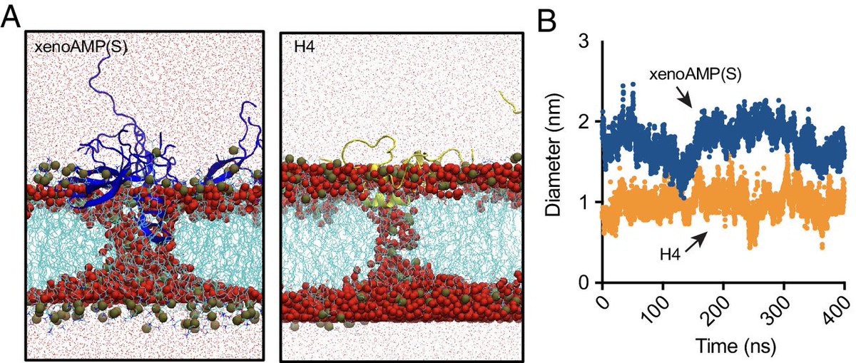 evelio_prieto's tweet photo. 🟥"Immune cell populations are dysregulated in Covid19 for currently unknown reasons: Plasmacytoid dendritic cell populations are reduced, thus hampering antiviral responses. CD8+ T cell populations are reduced, the level of which has emerged as an index of disease severity".
@fitterhappierAJ 
https://t.co/K2t124AL58