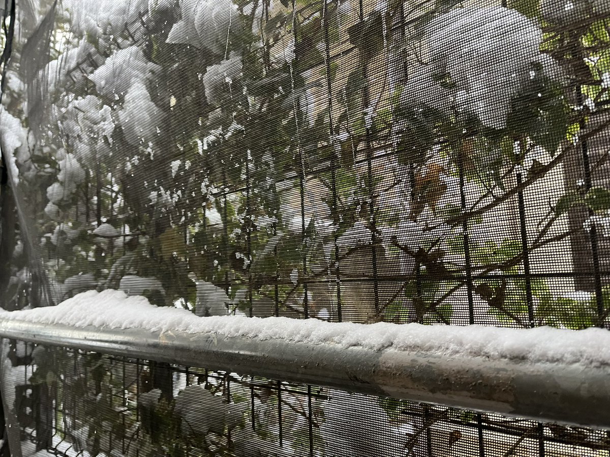 ライブ中号泣してしまうという初の経験を得たのですが(恥ずか死)
散々ベラベラMCで喋った後に号泣して愛こその曲中最後で「ムカつくやつ全員ぶっ殺せ」とか絶叫してマジで意味わからん
情緒と様子おかしすぎるヤバ女ムーブをまた世に晒してしまい、音楽やってたからギリ耐えてる人格