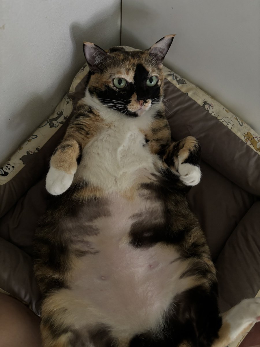 มีเด็กโดนจับเช็ดมอจิเพราะว่ามอจิเปียก ไม่พอใจสุดๆๆ