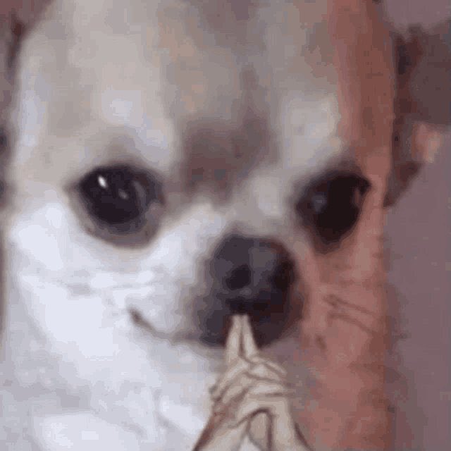 TooManyLogans's tweet image. 