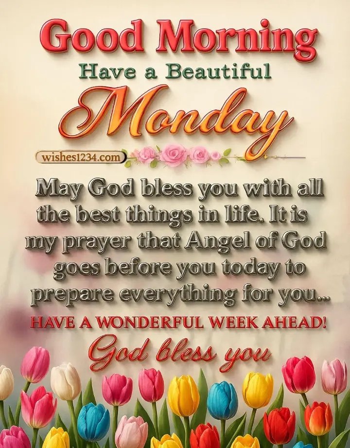 sarassmaniam's tweet photo. https://t.co/m3gMMLUkVL