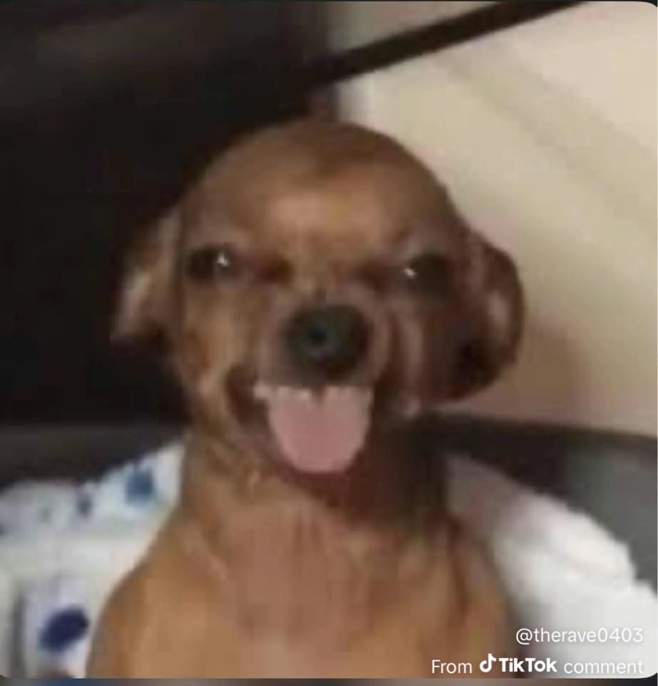 THE PLOT, THE FIGHTS, THE JOKES, THE LAUGHS, THE TEARS, THE BLOOD, THE BLOG GOSSIP . . . BITCH THIS EPISODE ATE #BaddiesUSA