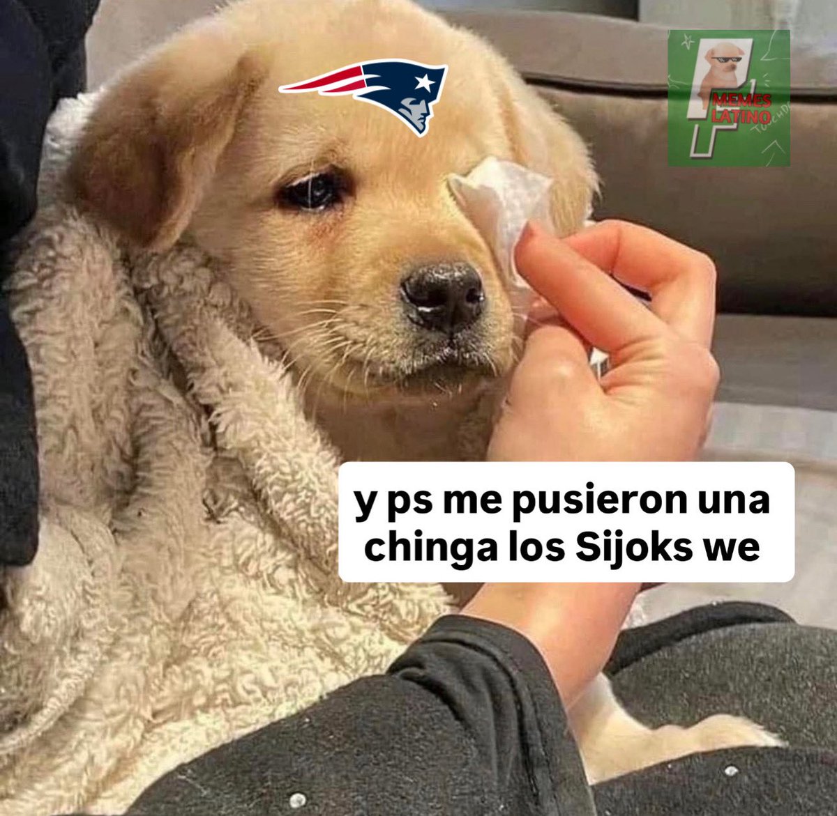 Piloto Memes Latino (@pilotomemeslat) on Twitter photo 