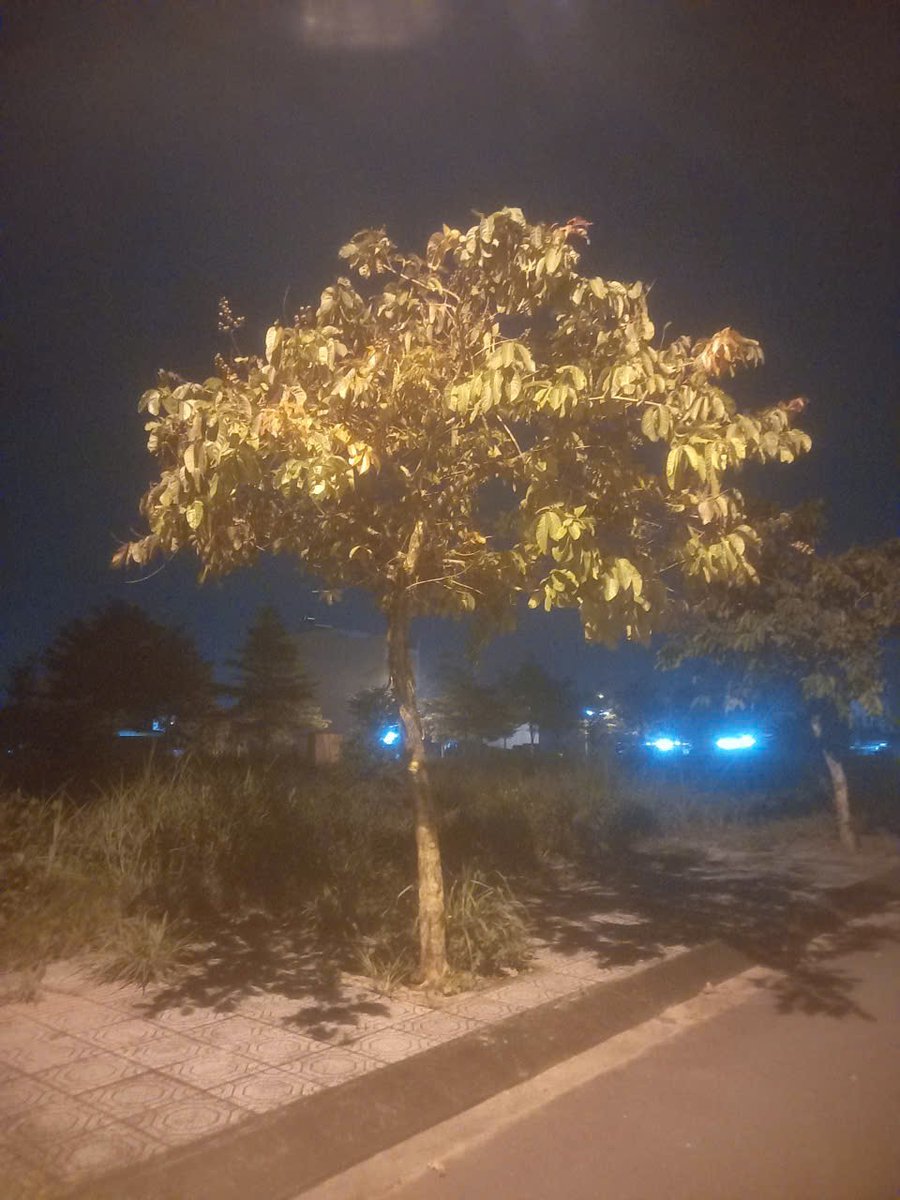 Anry May (@anry_may) on Twitter photo 