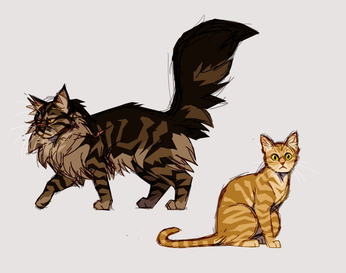 sodenda_'s tweet photo. Tried my hand at some old school Warrior Cats designs 

#warriorcats #warriorsfanart #warriorcatsfanart
#catdesign #characterdesign #digitalart #clipstudiopaint
#warriorcatsart #redtail #brightheart #tigerstar
#spottedleaf #longtail #felineart #illustration https://t.co/0fUzB8R8Fv