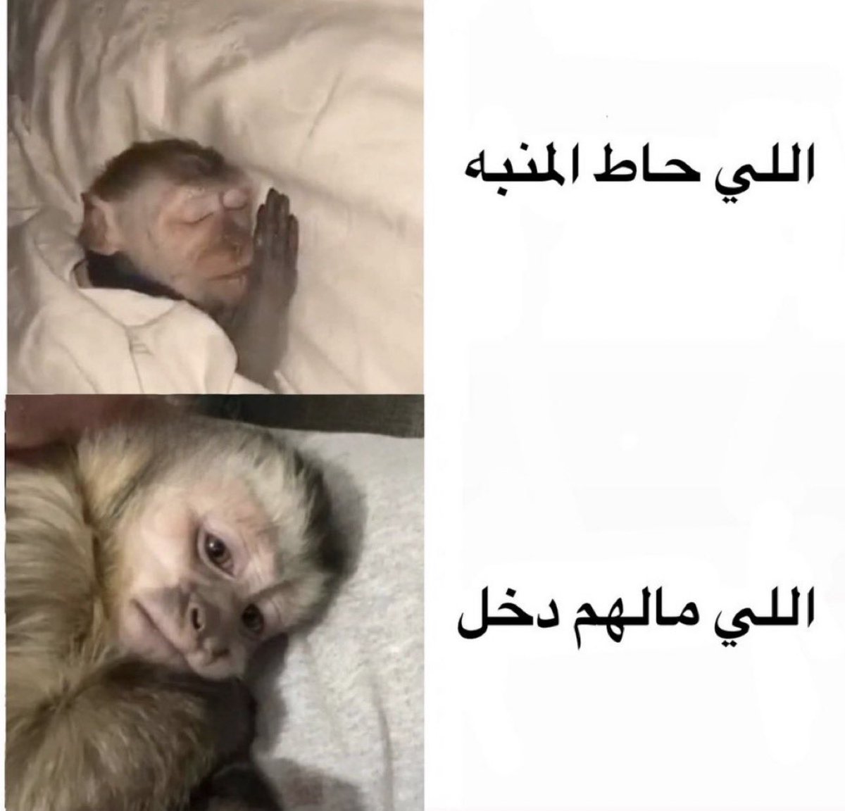 منصور (@i14nn) on Twitter photo 